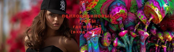 героин Богданович