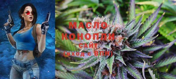 ешки Бородино