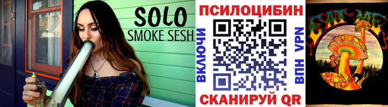 Псилоцибиновые грибы MAGIC MUSHROOMS это состав Вязьма